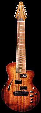 11 String guitar